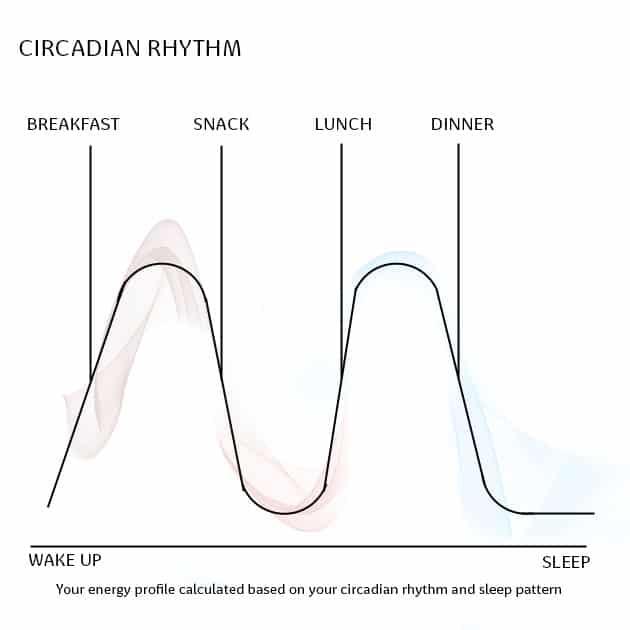 circadian rhythm
