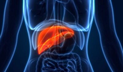 Liver Fibrosis Scan (Ultrasound Elastography) FibroScan Alternative