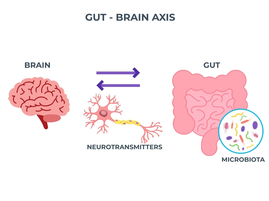 GUT - BRAIN AXIS
