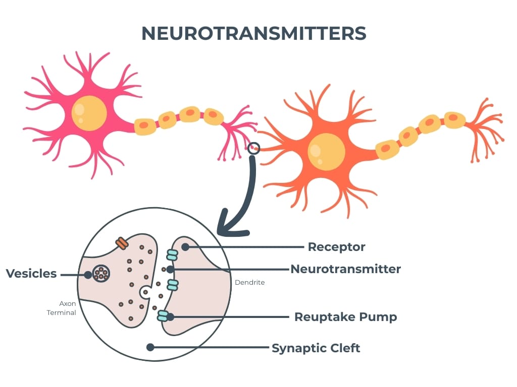 Neurotransmitters