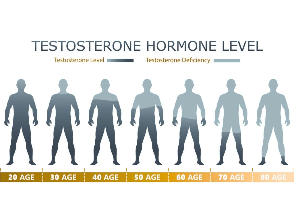 testosterone level