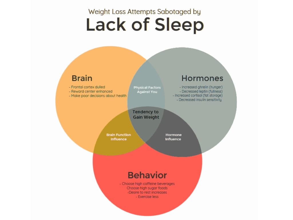 Sleep Timing and Fat Burn