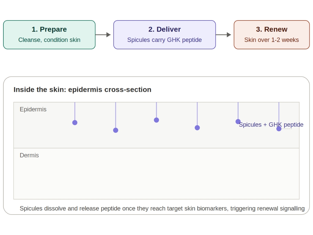 How does Glassifier work